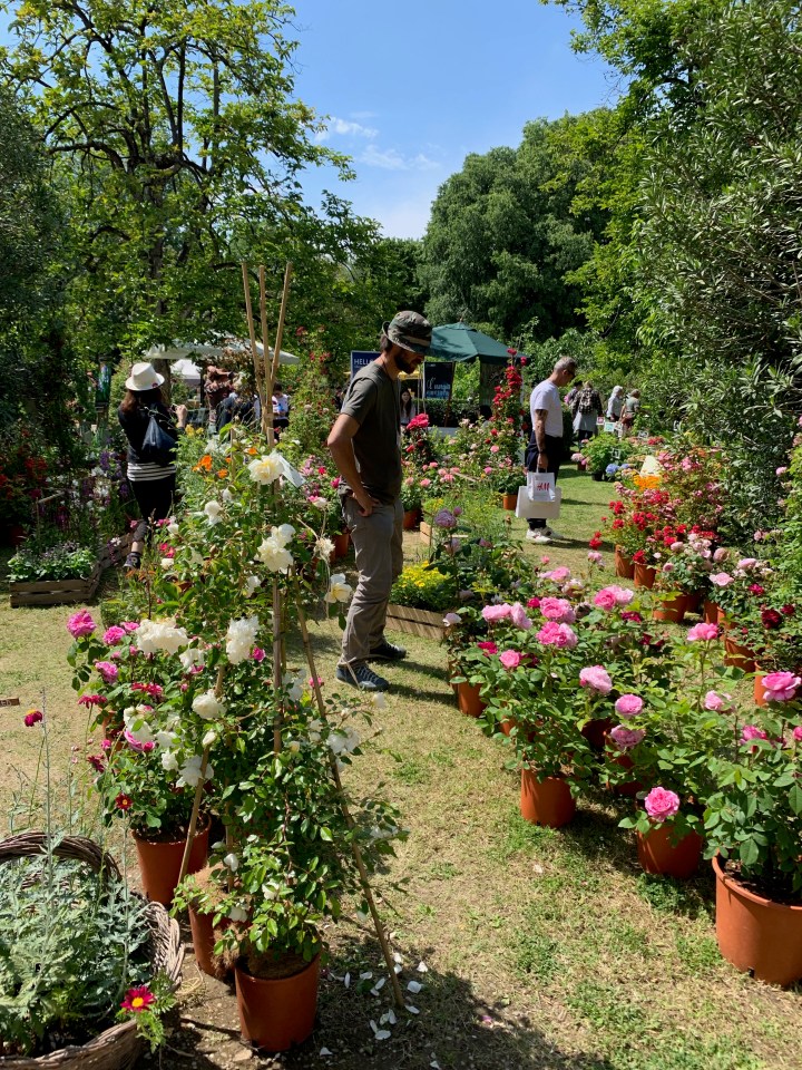 Florence Flower Festival 2019