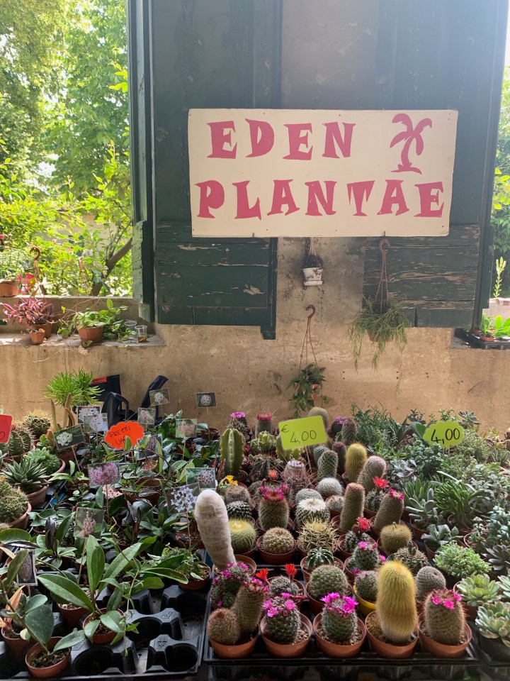 Florence Flower Festival 2019