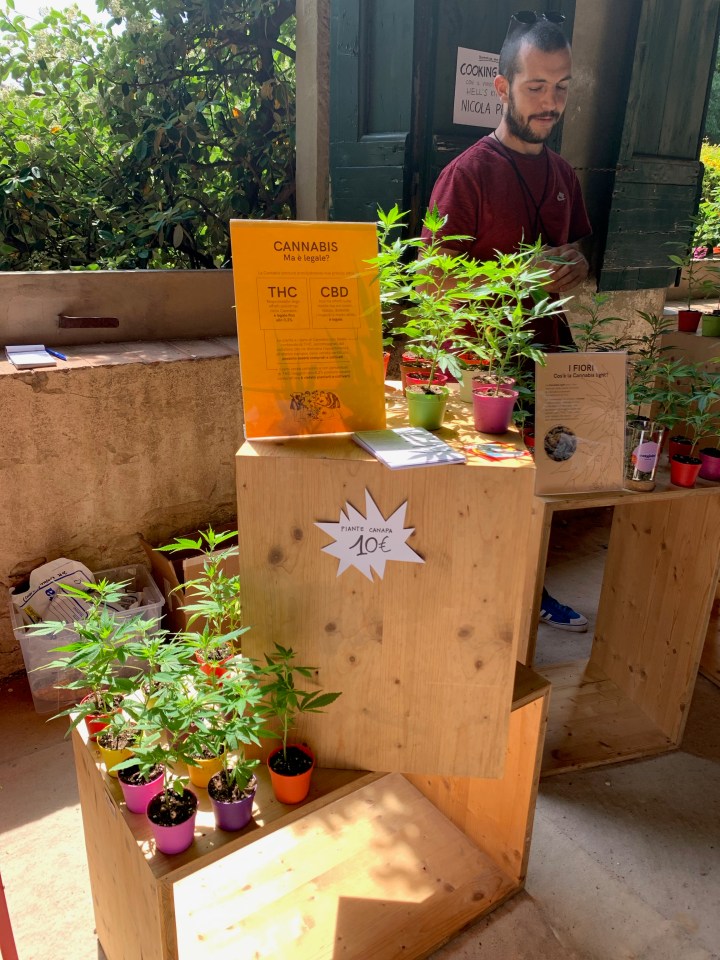 Florence Flower Festival 2019 - Marjuana
