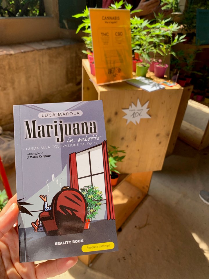 Florence Flower Festival 2019 - Marjuana