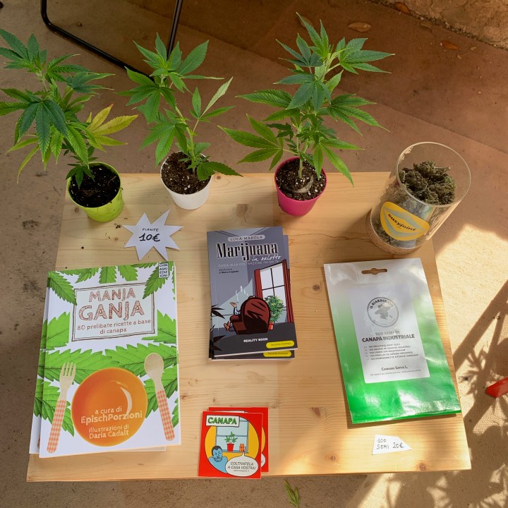 Florence Flower Festival 2019 - Marjuana