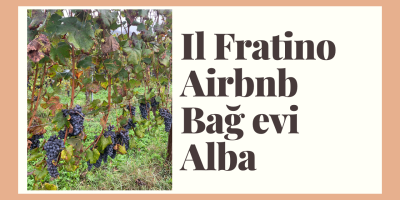Il Fratino Alba