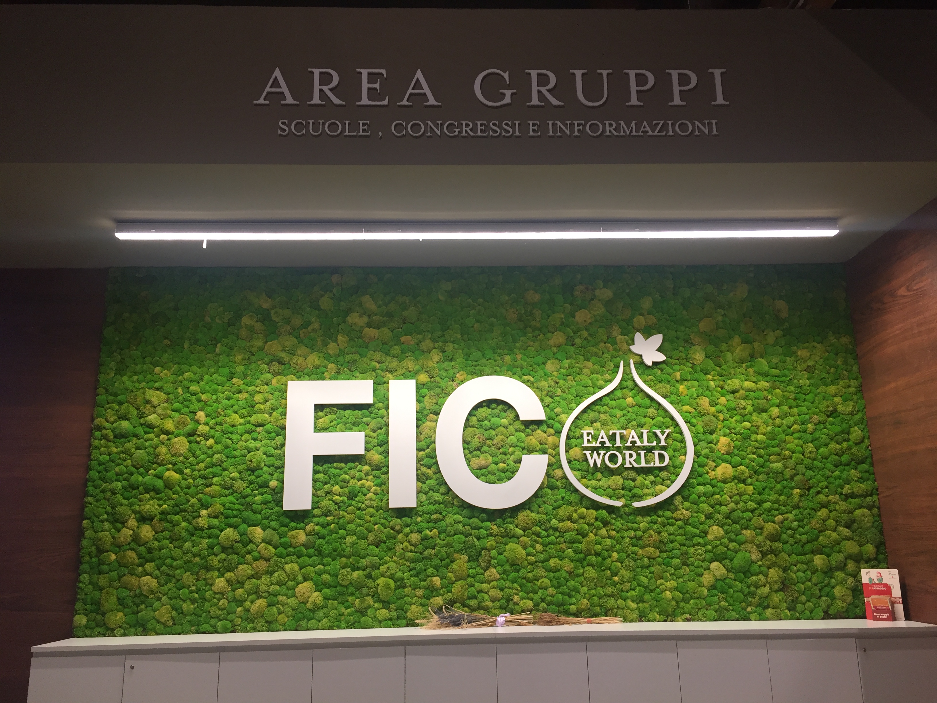 Fico World Eataly Bologna