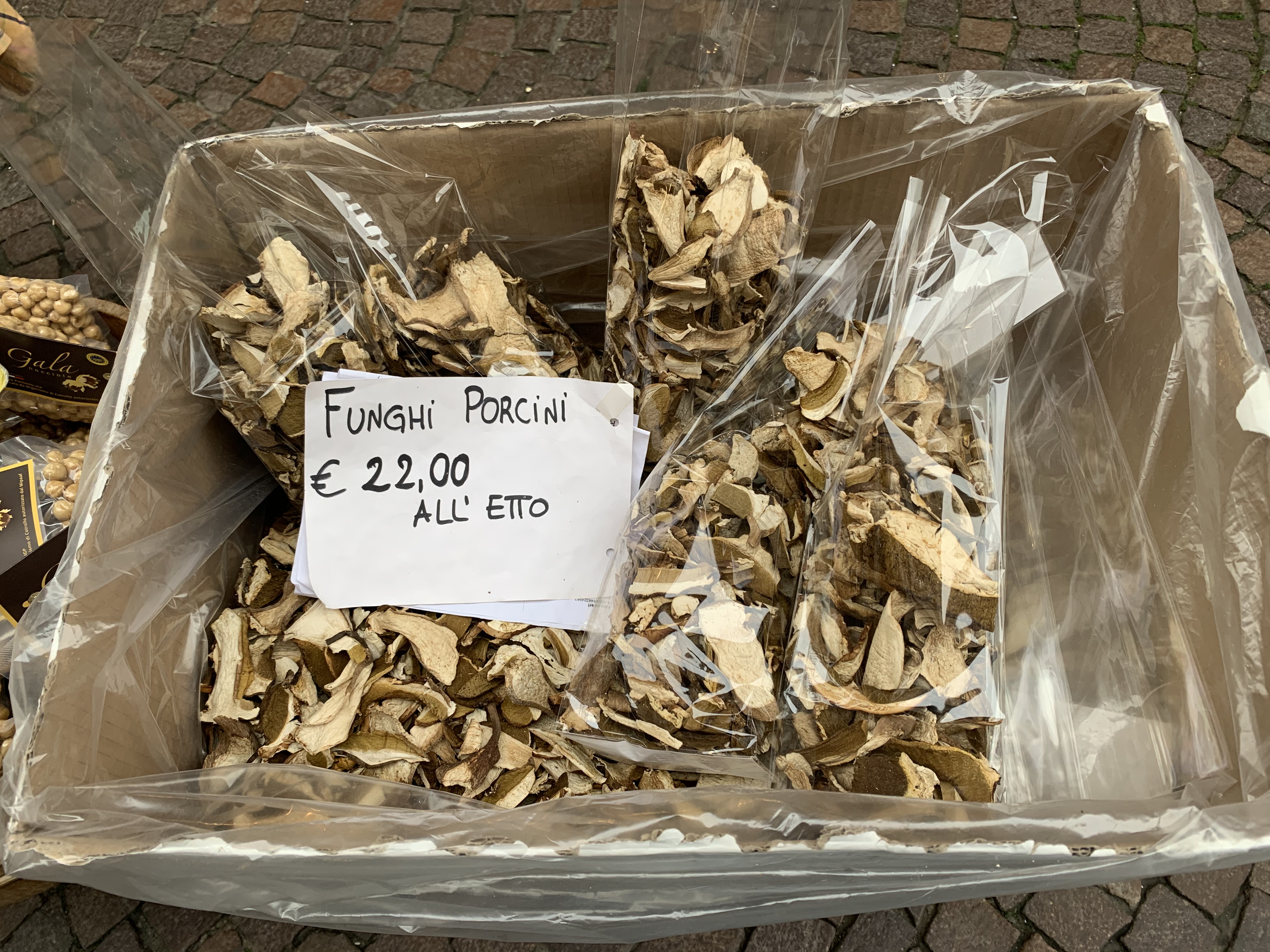 Funghi Porcini