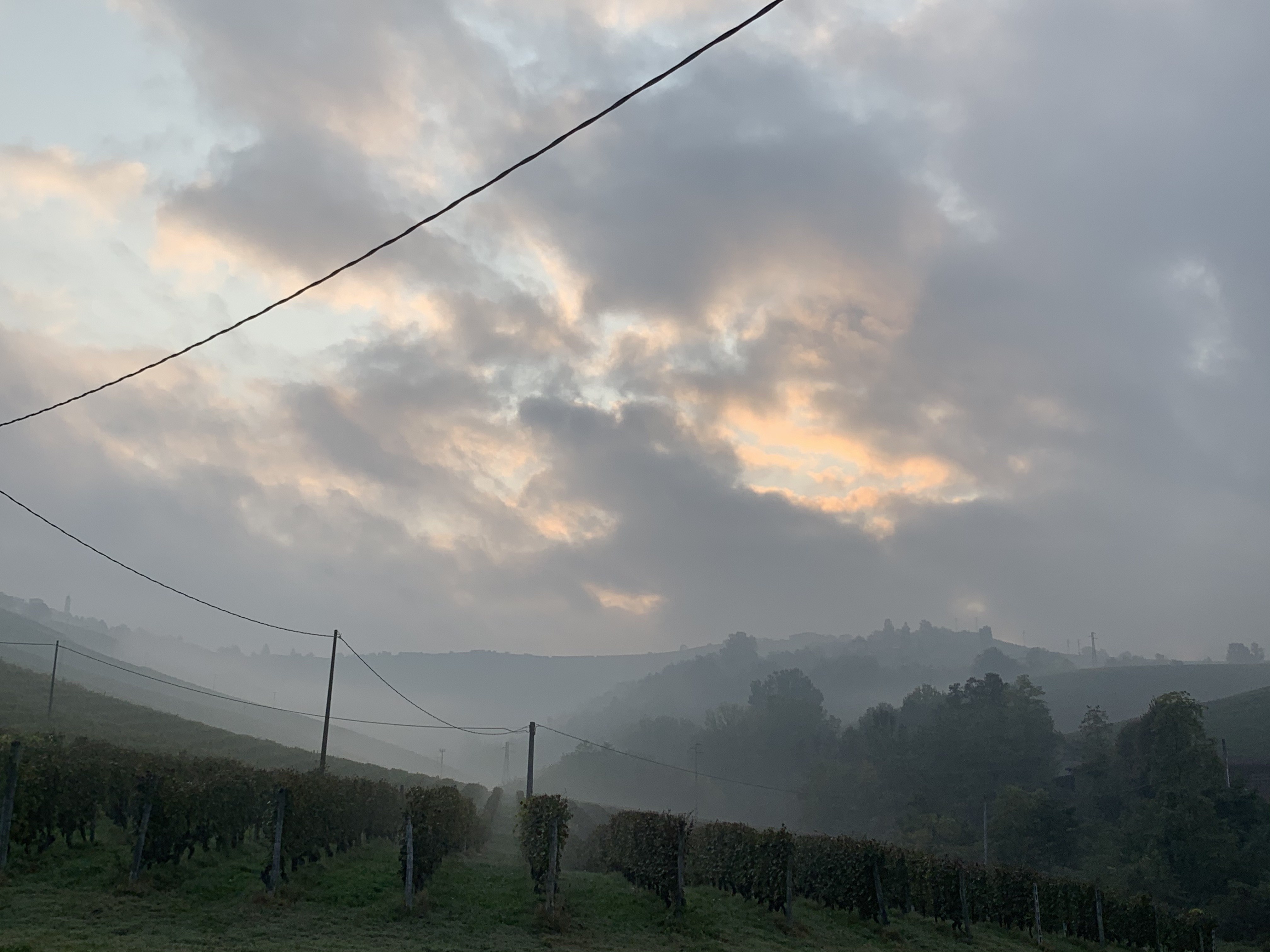 Il Fratino Alba