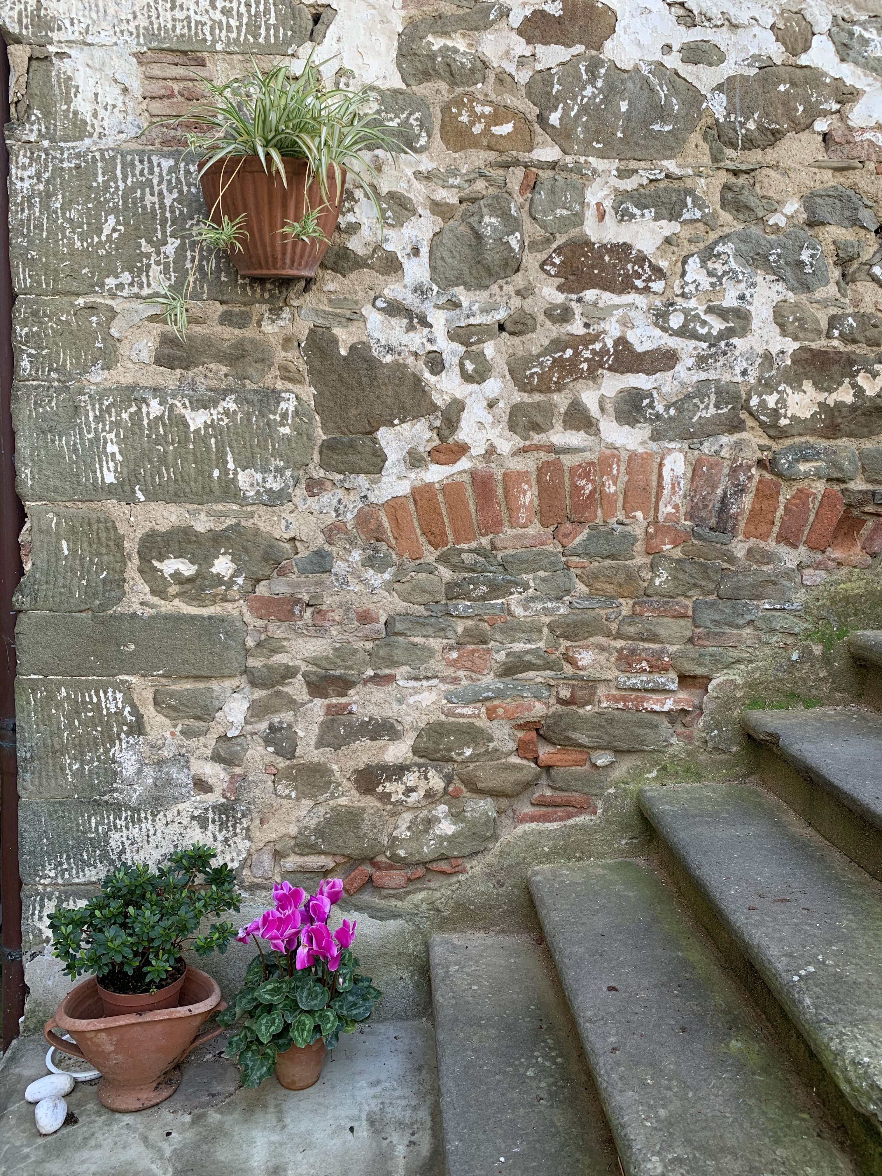 Casole - Greve in Chianti