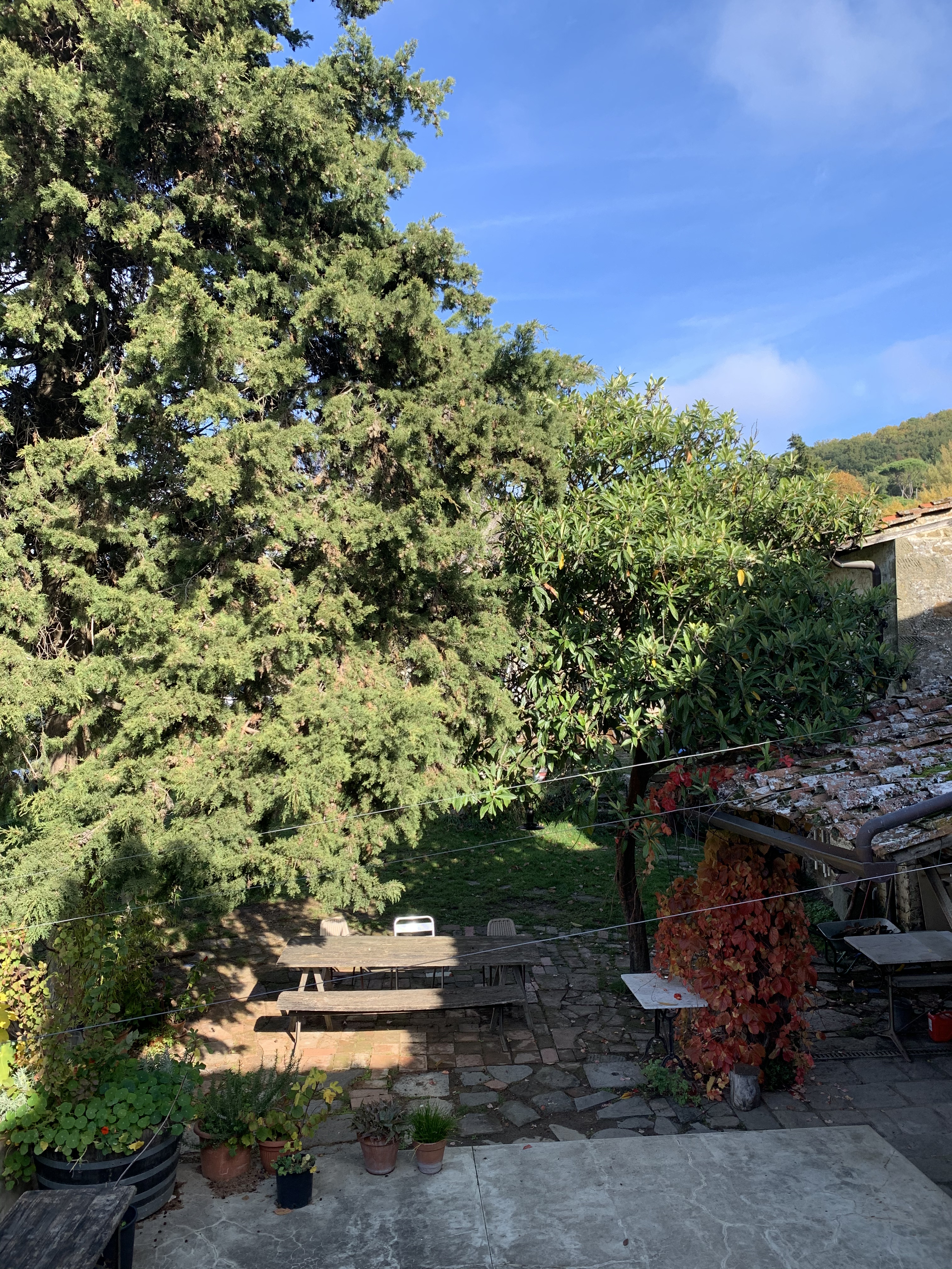 Casole - Greve in Chianti