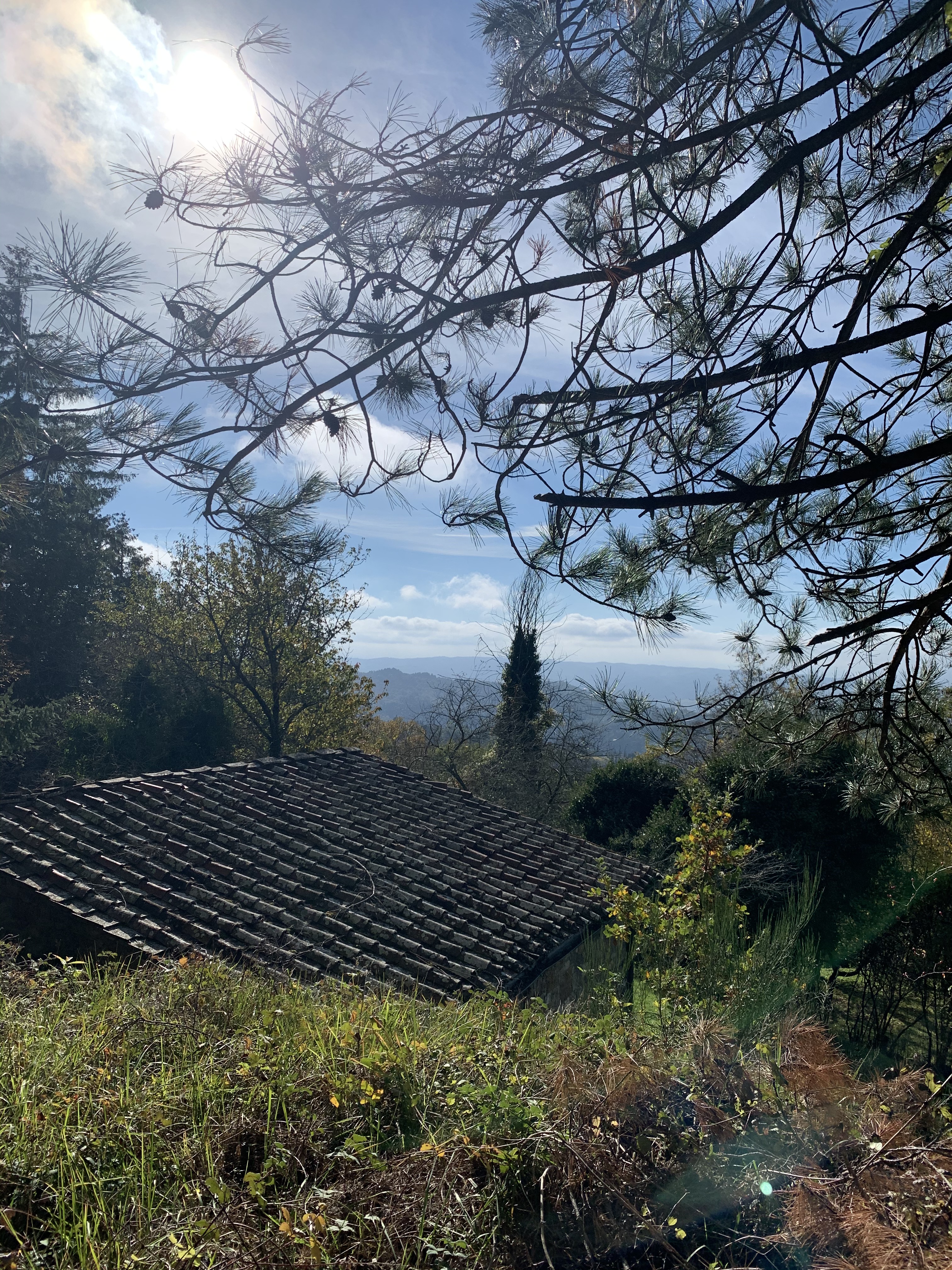 Casole - Greve in Chianti