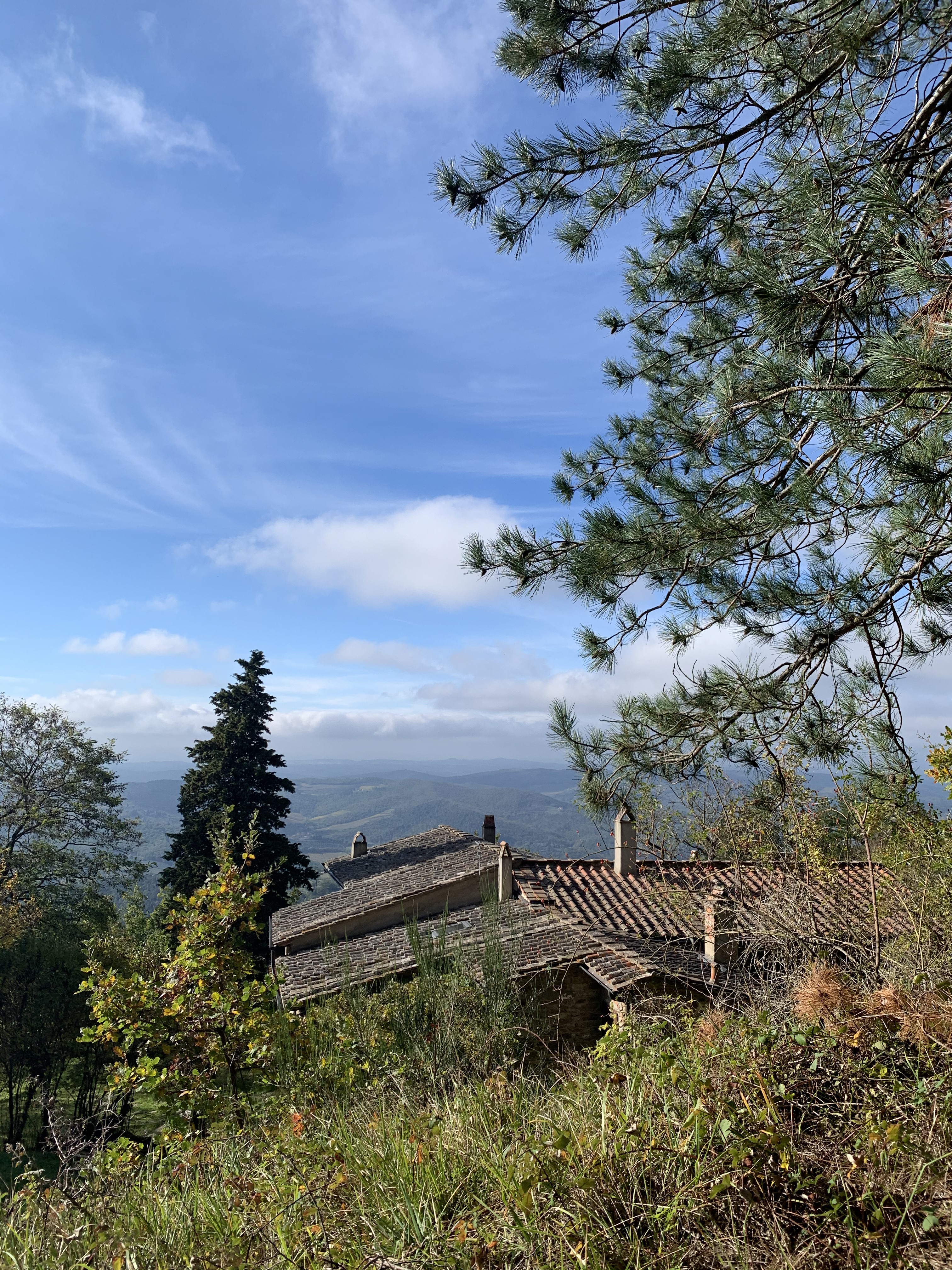 Casole - Greve in Chianti