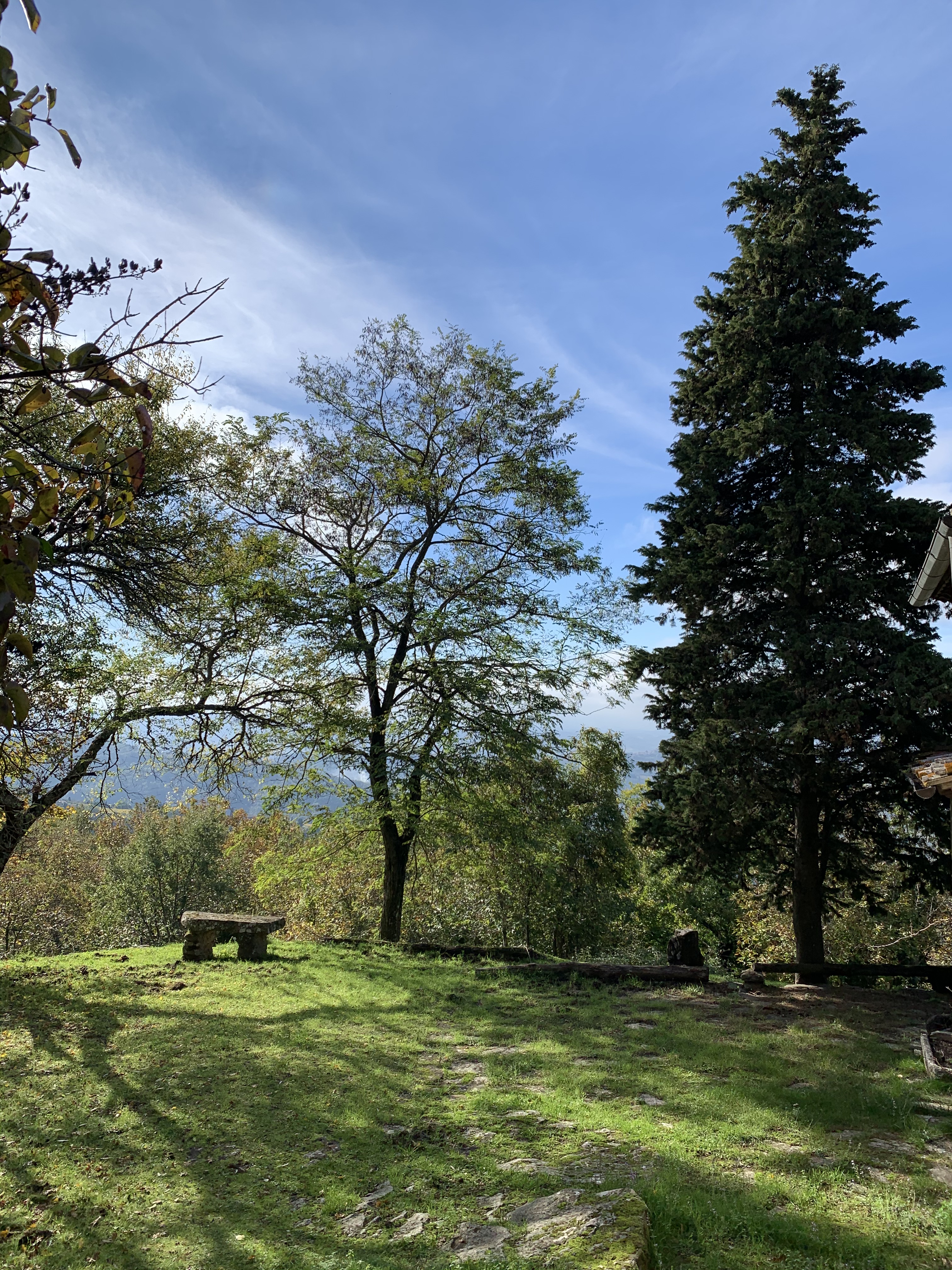 Casole - Greve in Chianti
