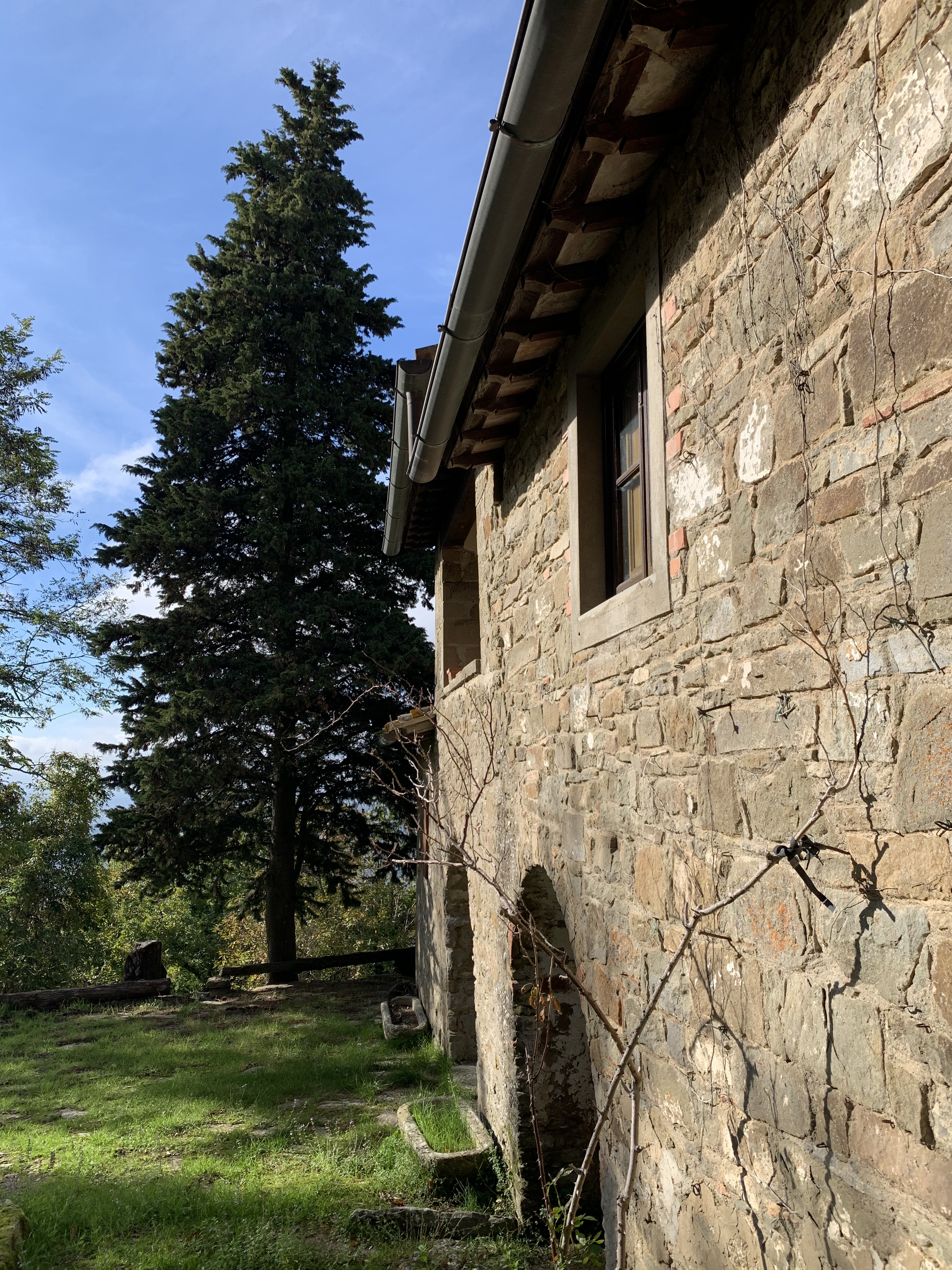 Casole - Greve in Chianti