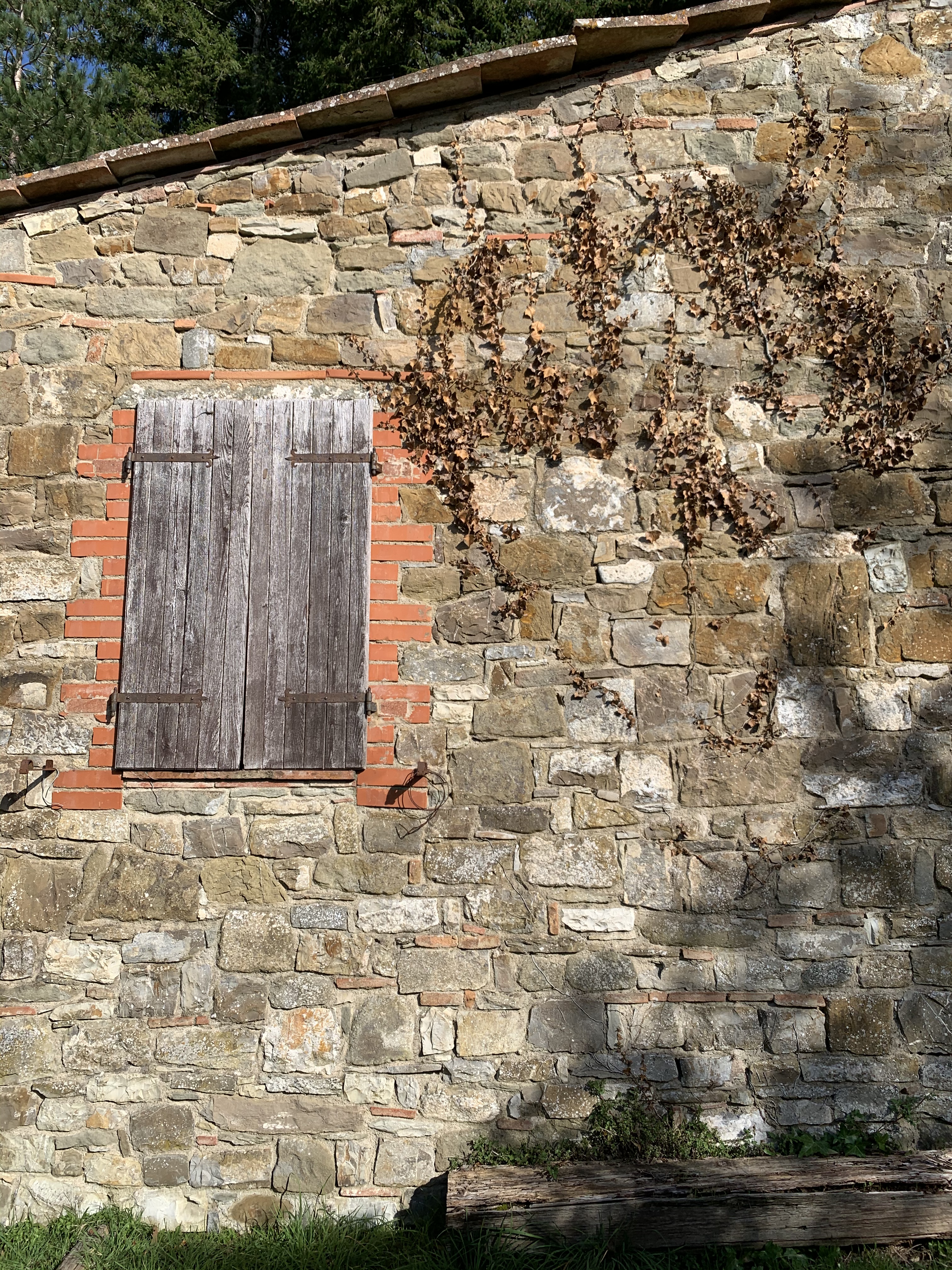Casole - Greve in Chianti