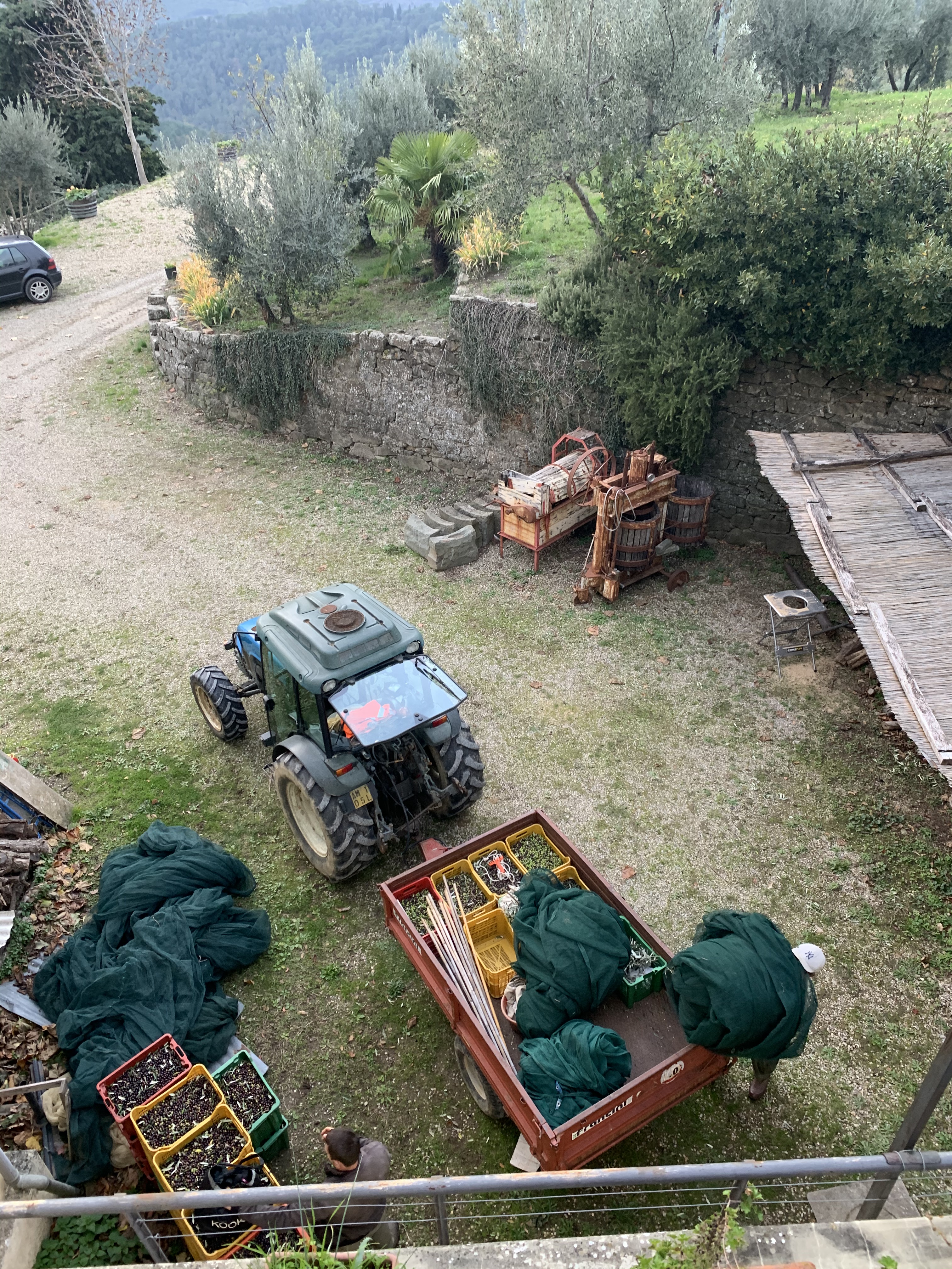 Casole - Greve in Chianti